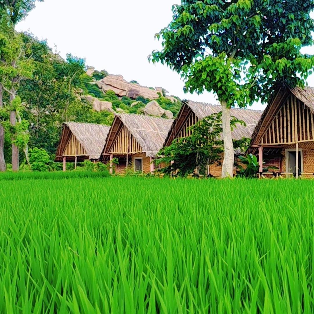 Om Shanti Om Home Stay & Cafe האמפי מראה חיצוני תמונה